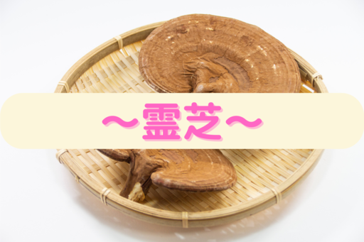 女神の酵素の原材料〜霊芝〜【非常に希少な中国の伝統的な漢方薬】