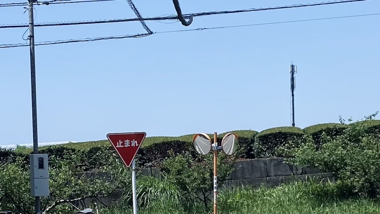 大人のための“香り散歩”気分が切り替わるたった5分のセルフケア
