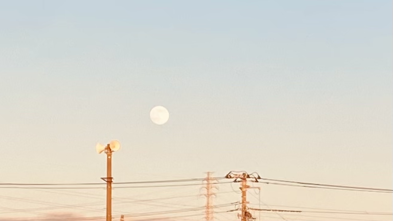 香り初心者の失敗しない“ほんのり香り”の選び方とコツ