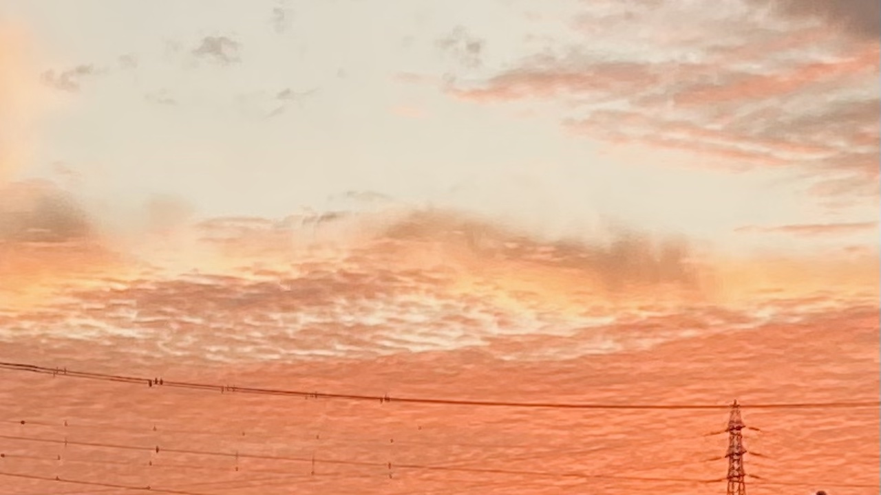 静かなハロウィンの夜に、ほのかな香りをまとう