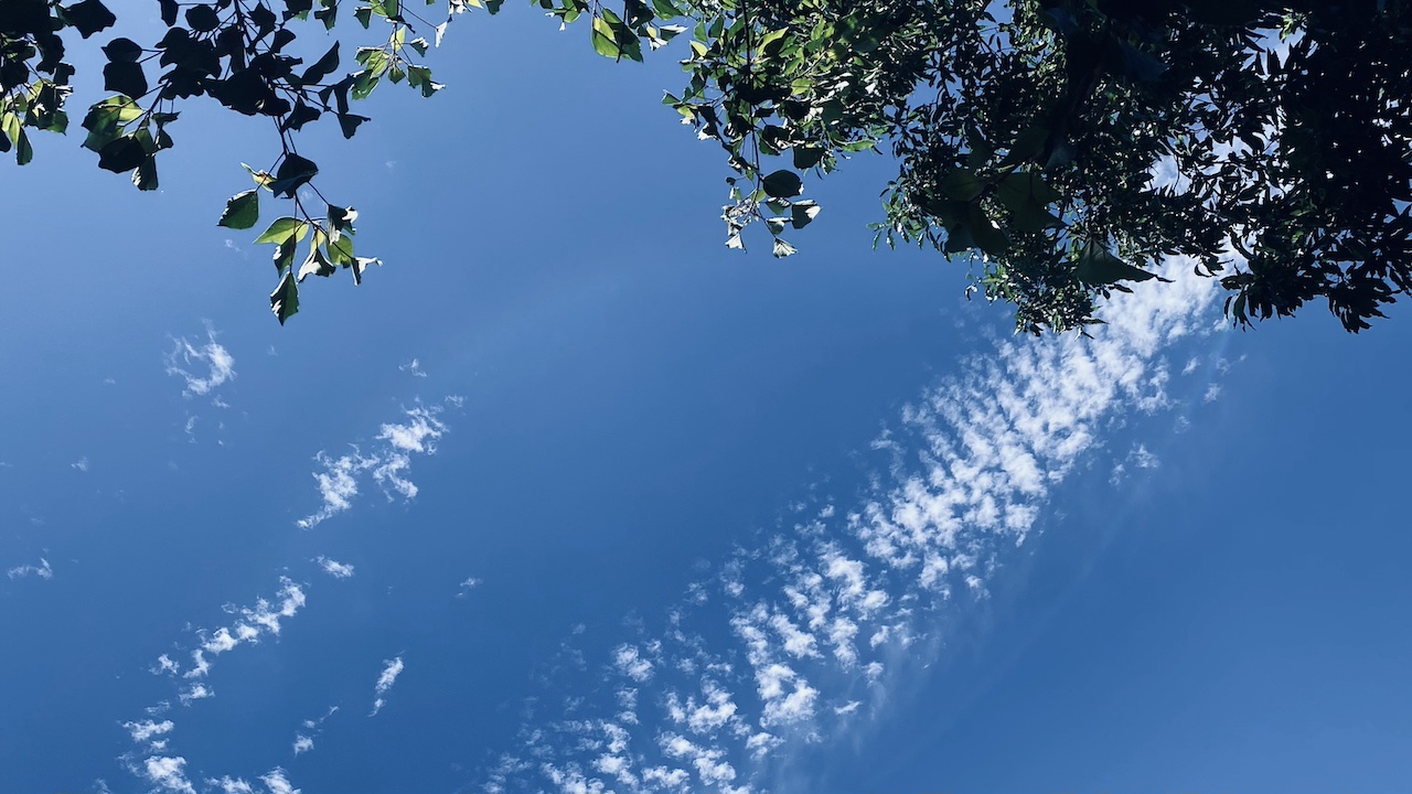 月曜の朝は、静かに始める。香りでゆるやかに心を起こす