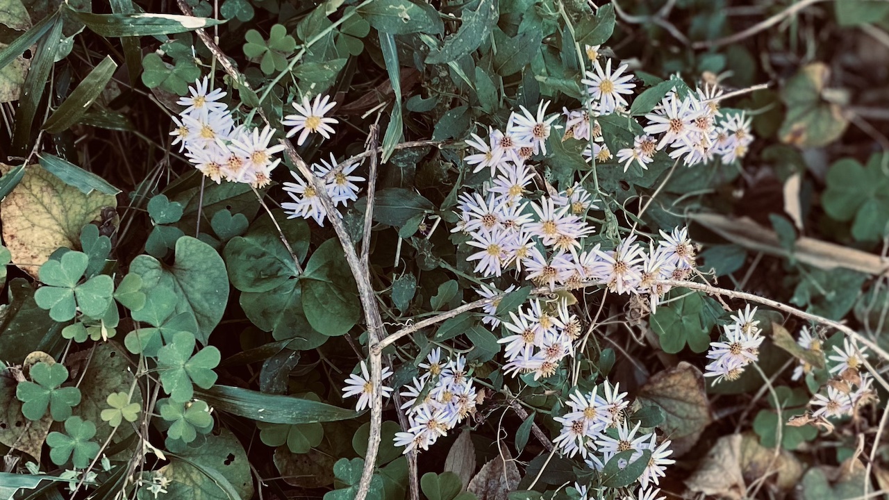 「春夏秋冬をほんのりまとえば、忙しさの中にも“間”が生まれる」