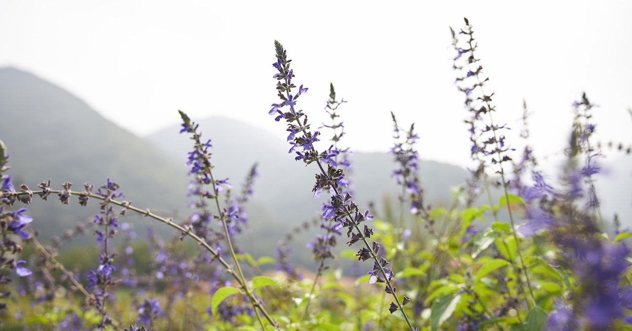 理由のない不安や揺れが出てくる日もある