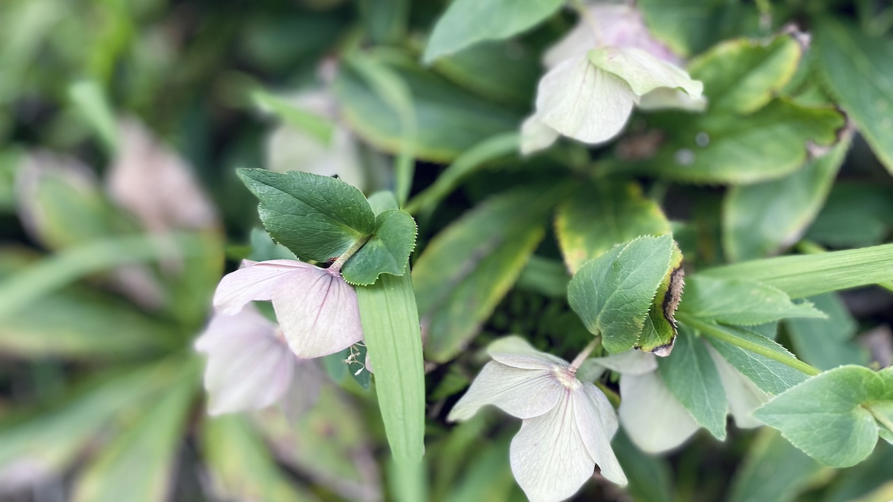 クリスマスイブの夜に。盛り上げない選択をするセルフケア