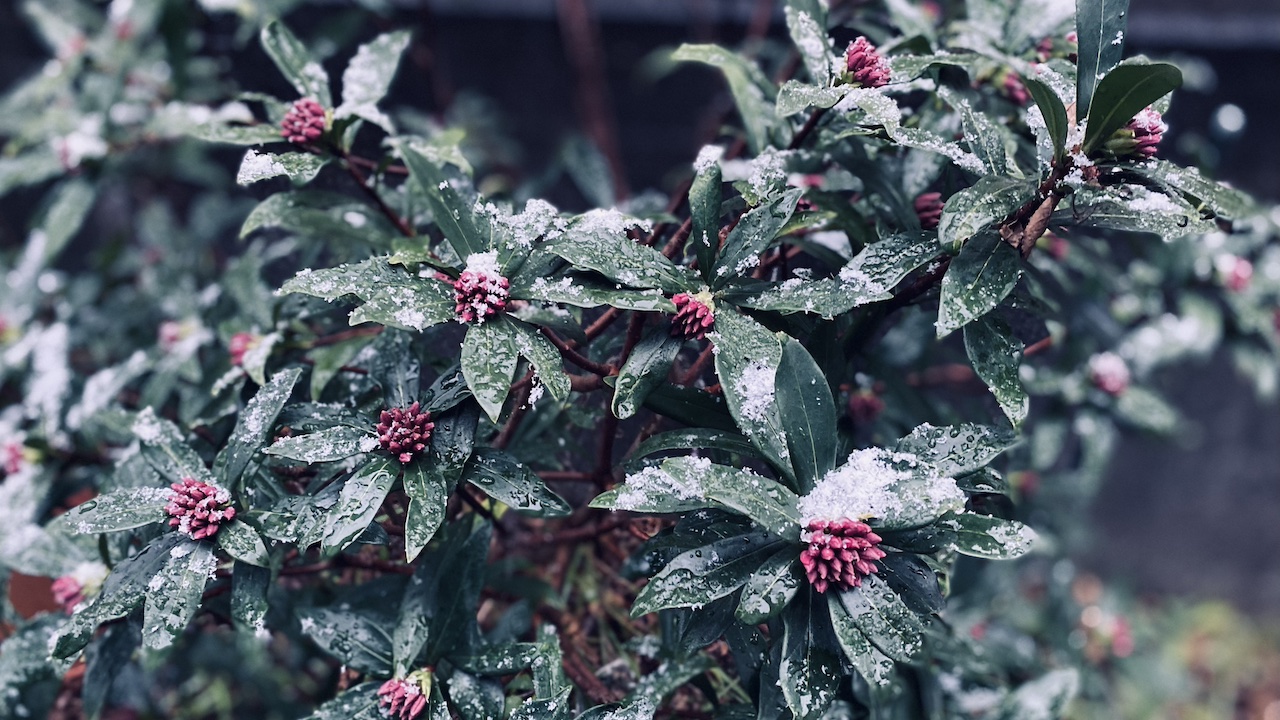 季節の変わり目に、ととのえすぎないセルフケア