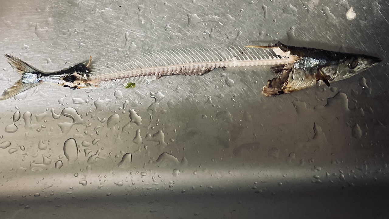 秋に楽しむ“ほんのり香り”のセルフケア|香り初心者でも安心できる4つのシーン