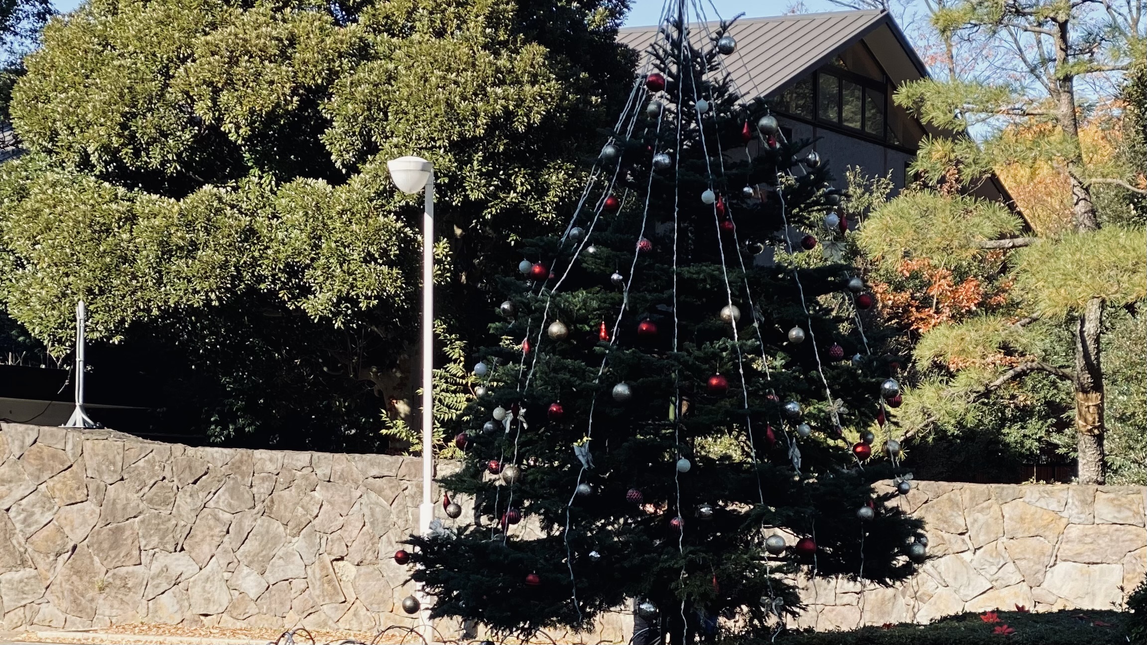 月曜日、人に会う予定が増える12月のセルフケア