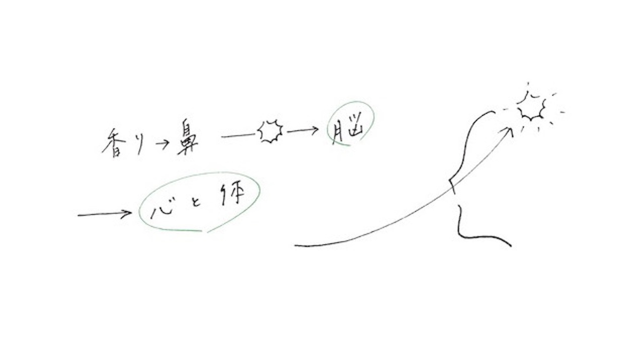 香りは脳にどう届く？