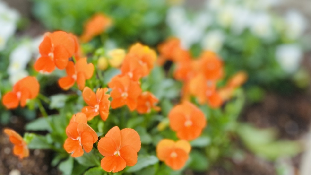 香りは効能だけじゃない。“いまの気分”に寄り添う選び方