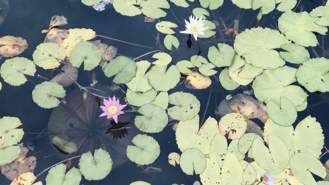 香りとともに暮らす。“効く”ではなく“整える”という余白