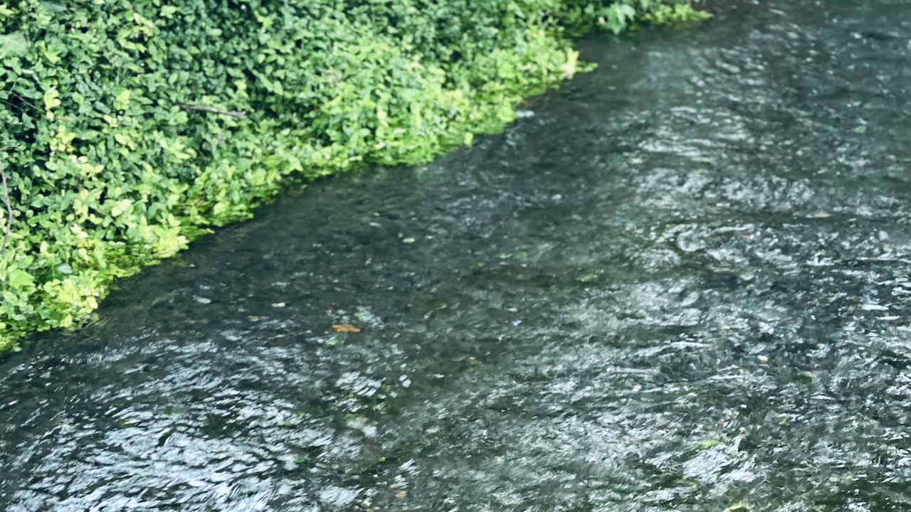 気だるい朝に、“香りのスイッチ”を