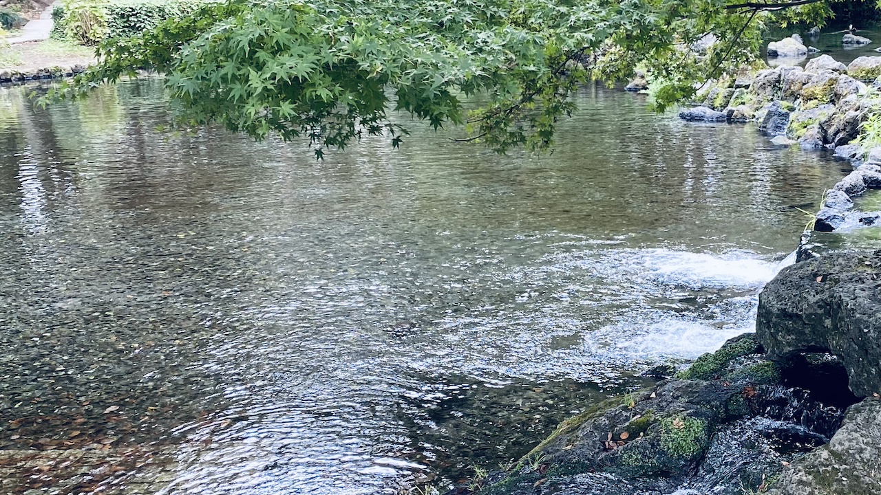 考えごとが多い朝に。香りで思考を整理する5分習慣