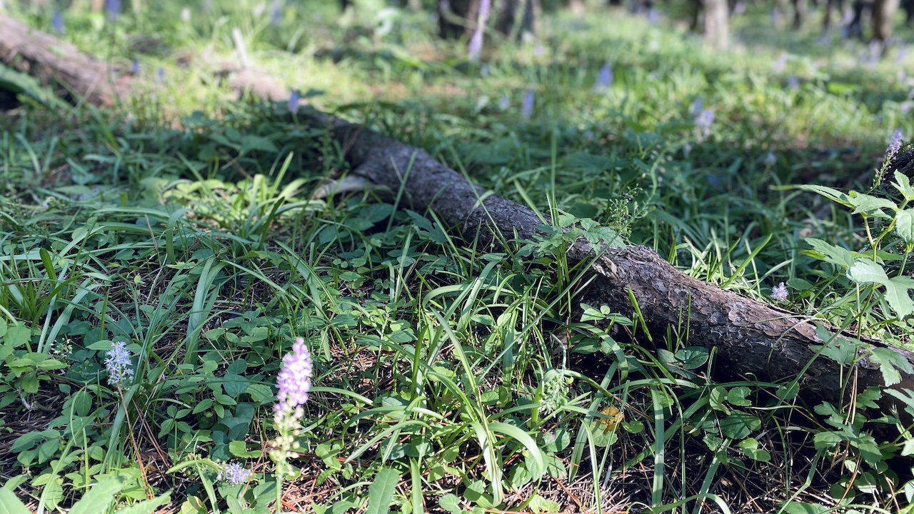 深呼吸する暮らし｜今日は、ひとつだけ“心地いい”を選んでみる。