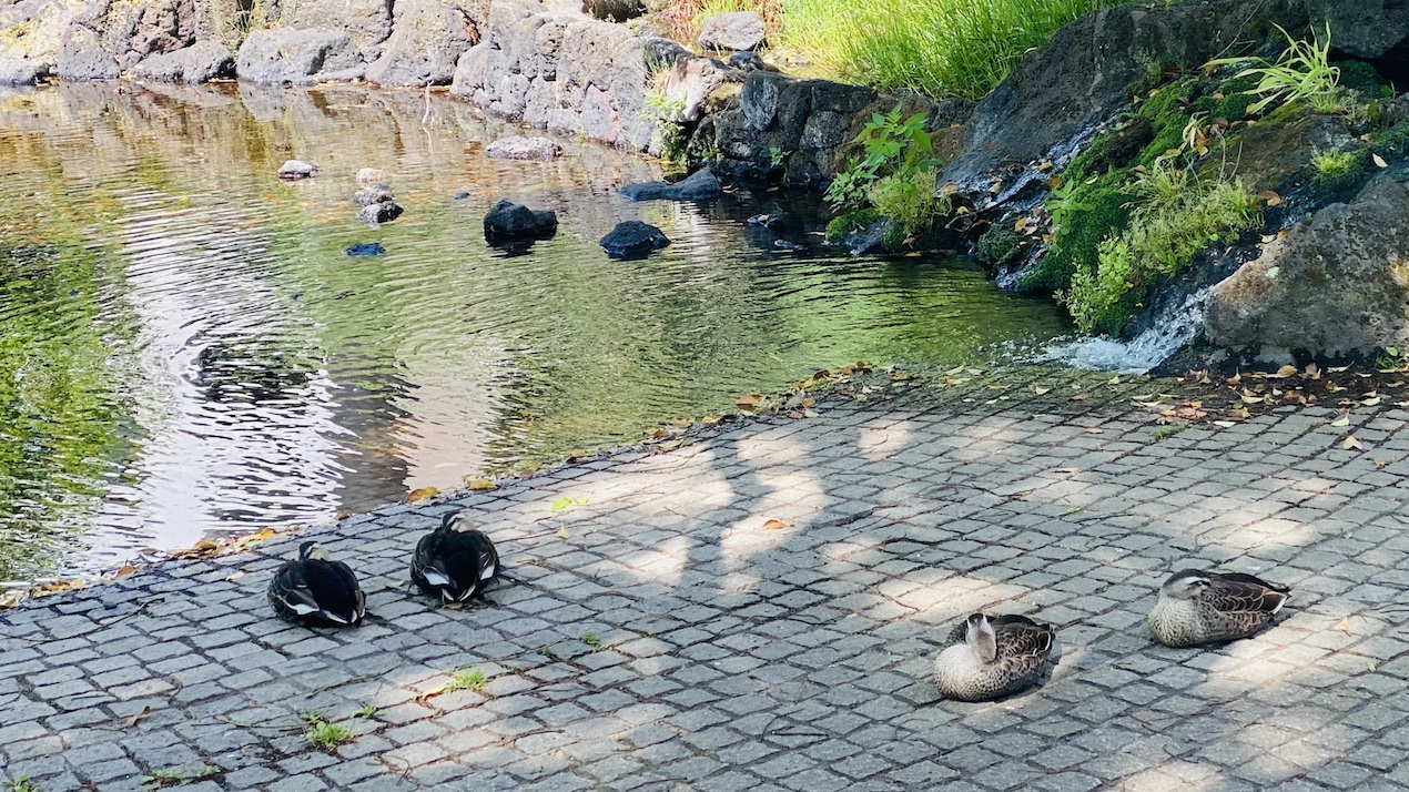 深呼吸する暮らし|何もしない時間が、いちばん整う日もある