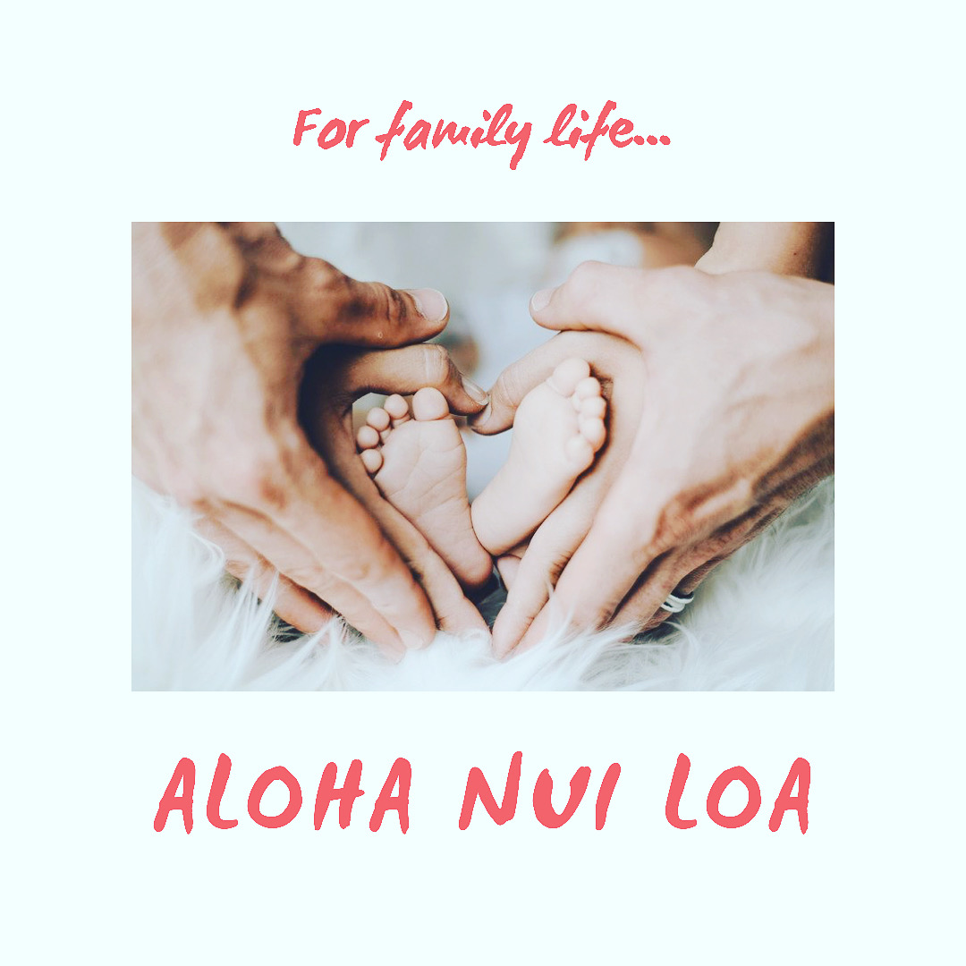 初めまして、Aloha nui loaです( ¨̮ )/