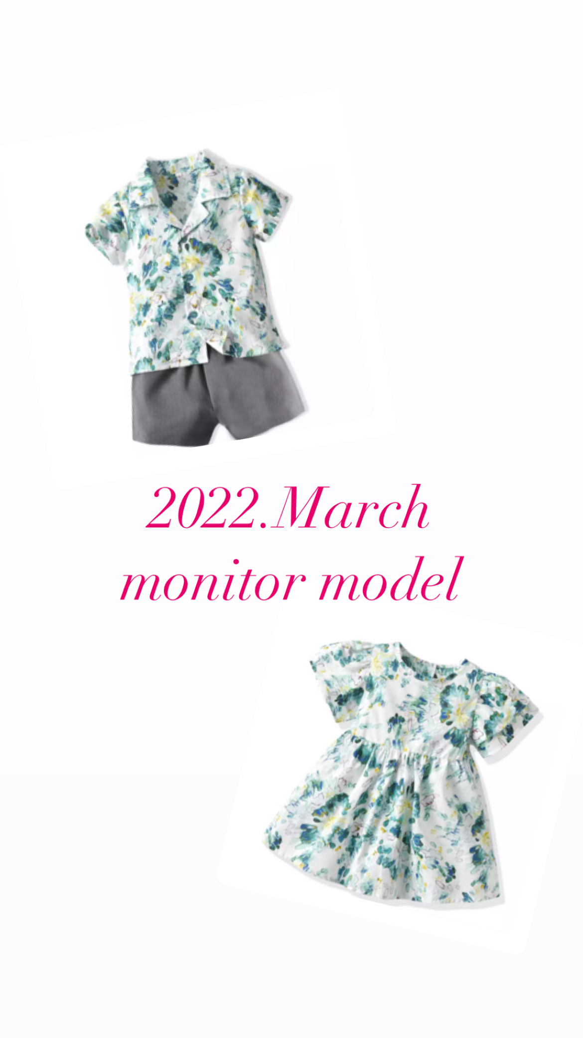 22 March monitor model
