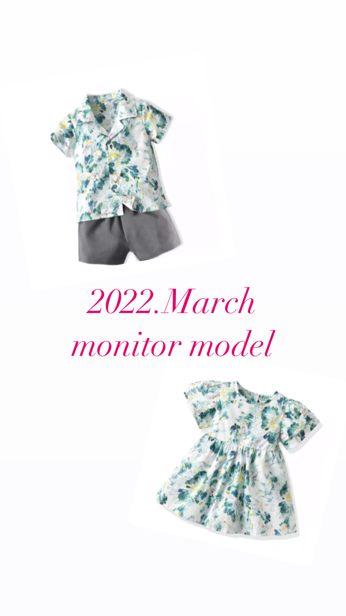 22 March monitor model