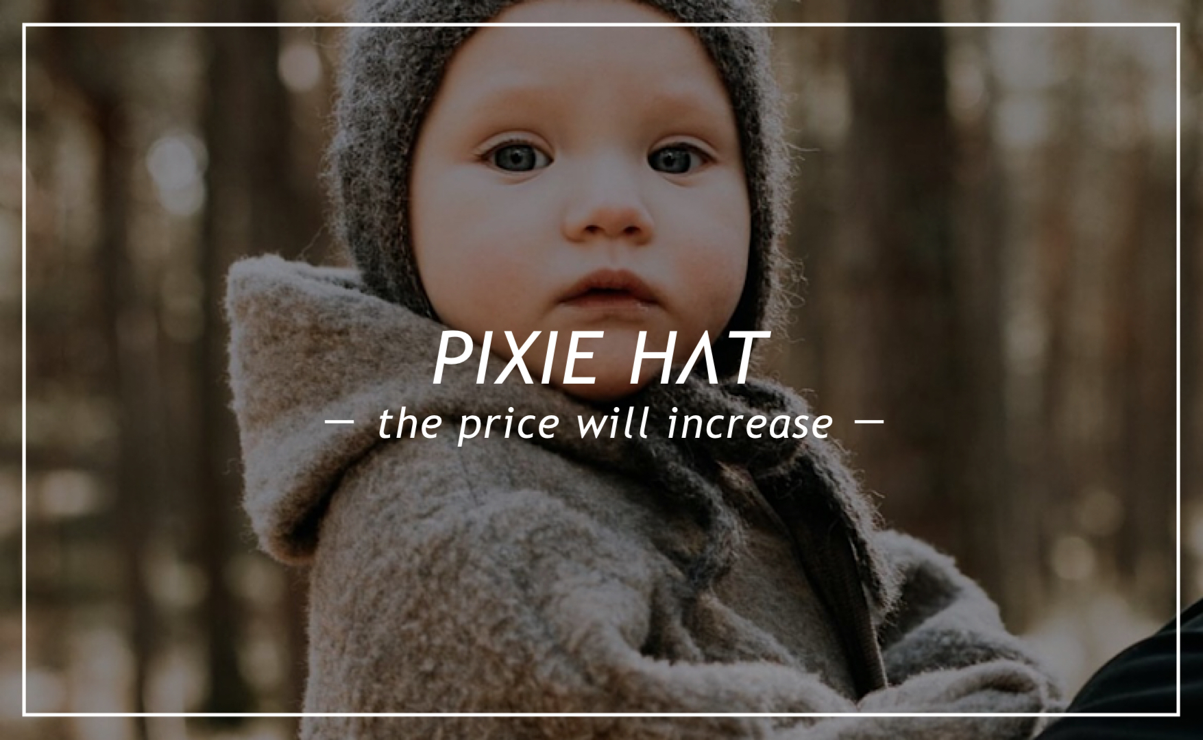 予約販売 / pixie hat