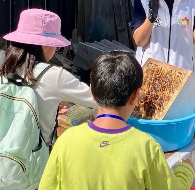 博多ハニー採蜜体験ツアー開催✨