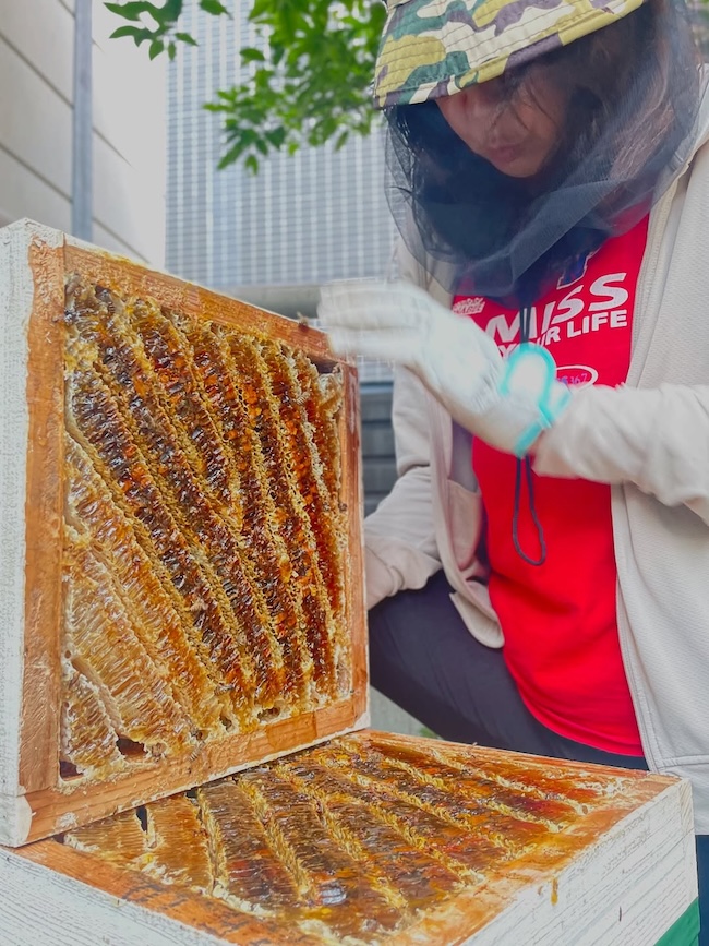 ⁡今回もイイ感じの夏蜜🍯