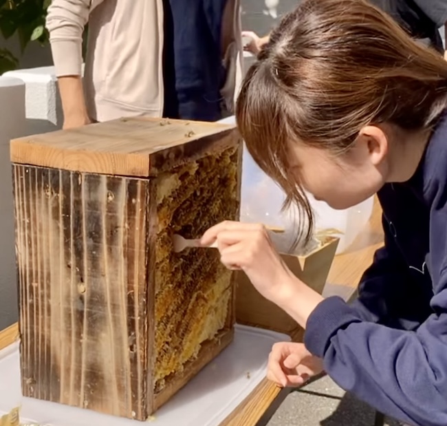 福岡大学 🍯
