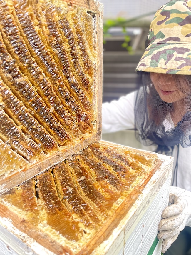 博多ハニーの採みつ🍯