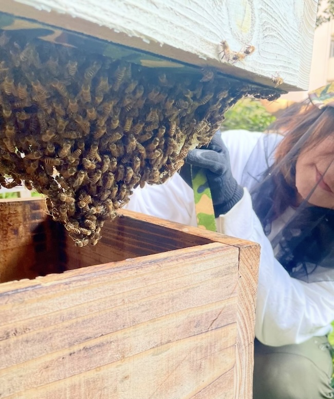 元気イッパイです！！！🐝