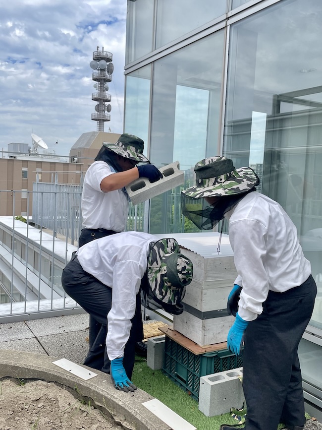 福岡大学附属大濠高等学校 🍯おおほりハニー✨