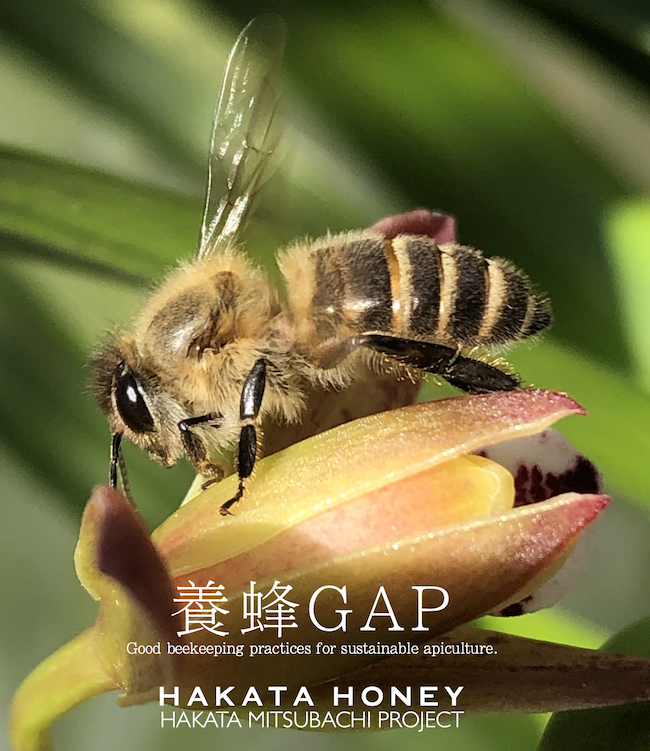 養蜂GAP第三者認証監査