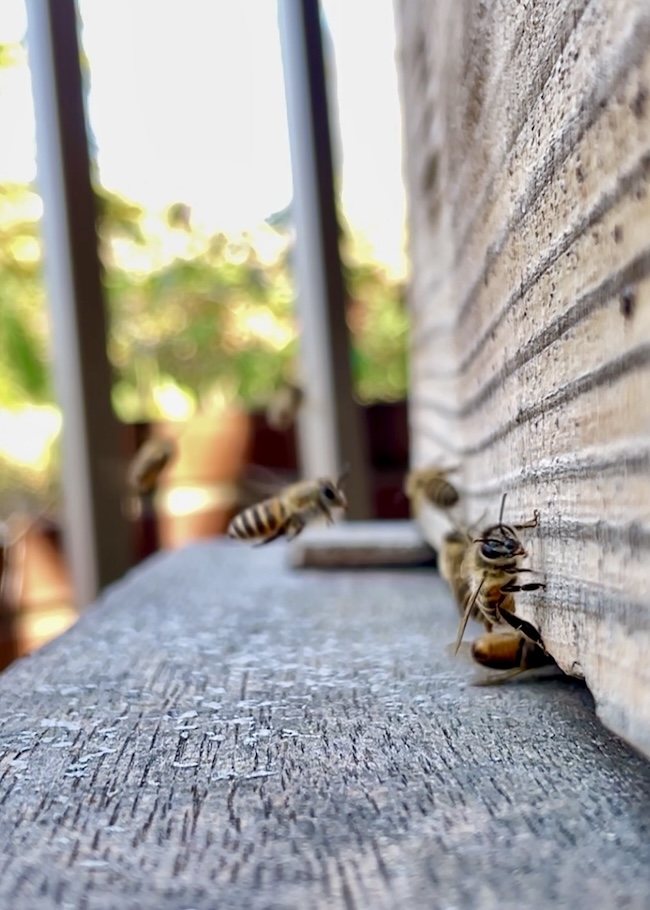 今日は 那の津にあるビルの屋上🏙️