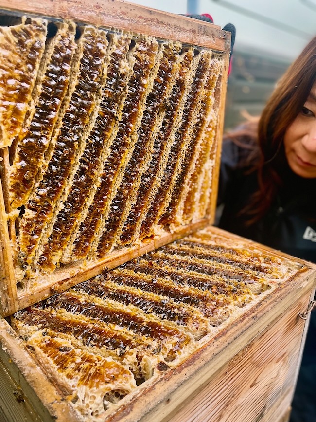 今日も採蜜❣️