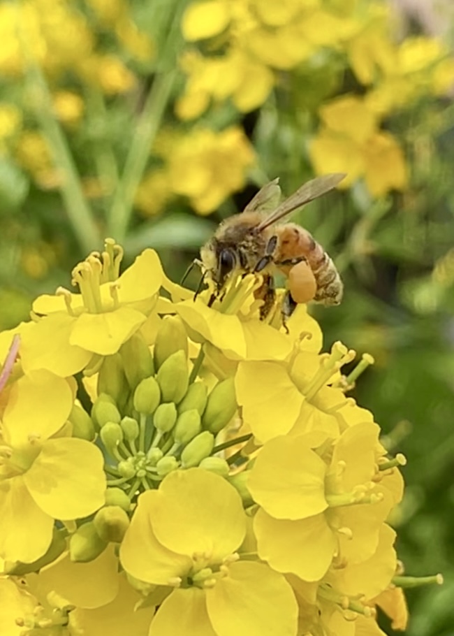 さぁ はじまりますね❣️