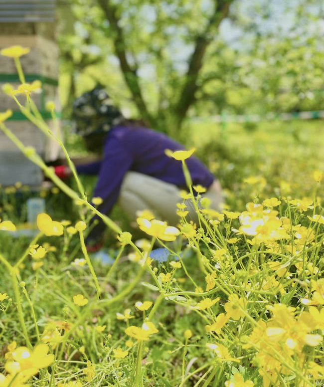 大宰府ハニー 🐝🍯✨