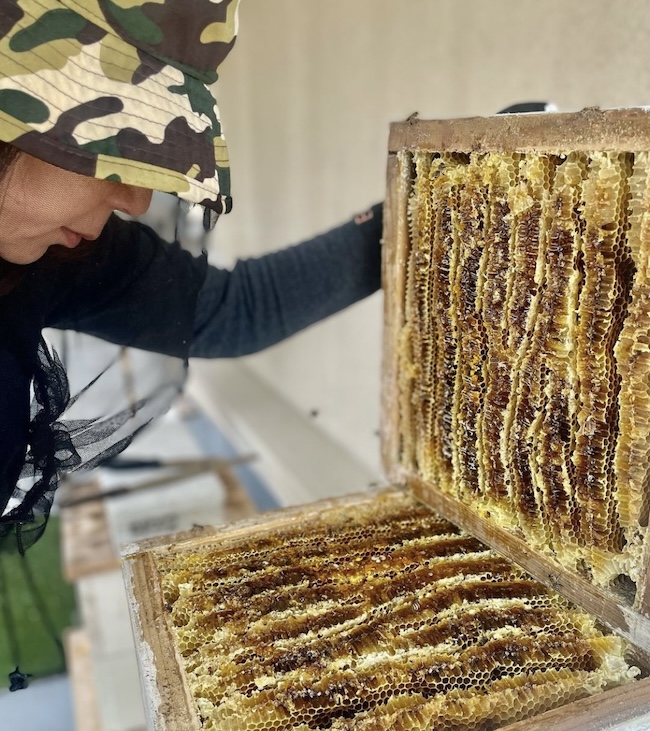 採みつシーズン はじまりました！！🍯
