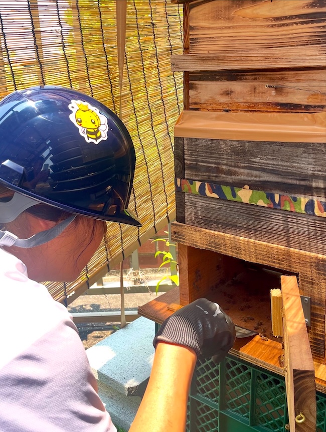 すくすく成長中 🐝🏠