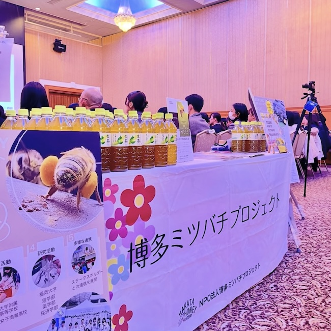 春に向けた準備で飛び回っていました❣️🐝