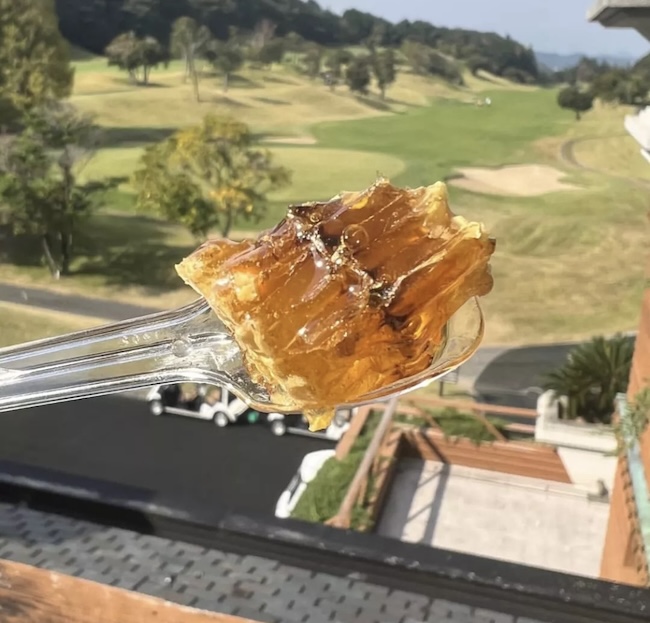 福岡雷山ゴルフ倶楽部⛳️