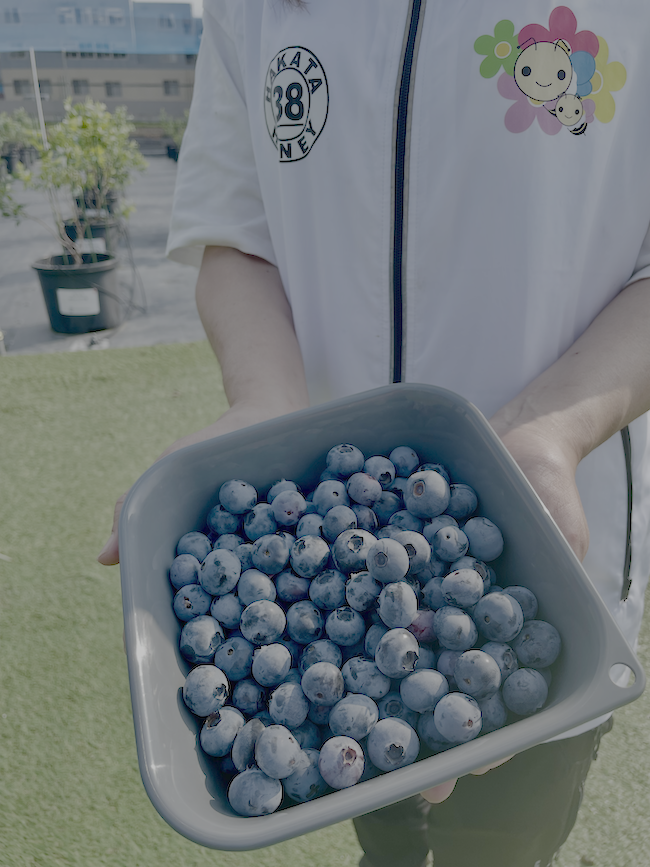 三好不動産❣️
