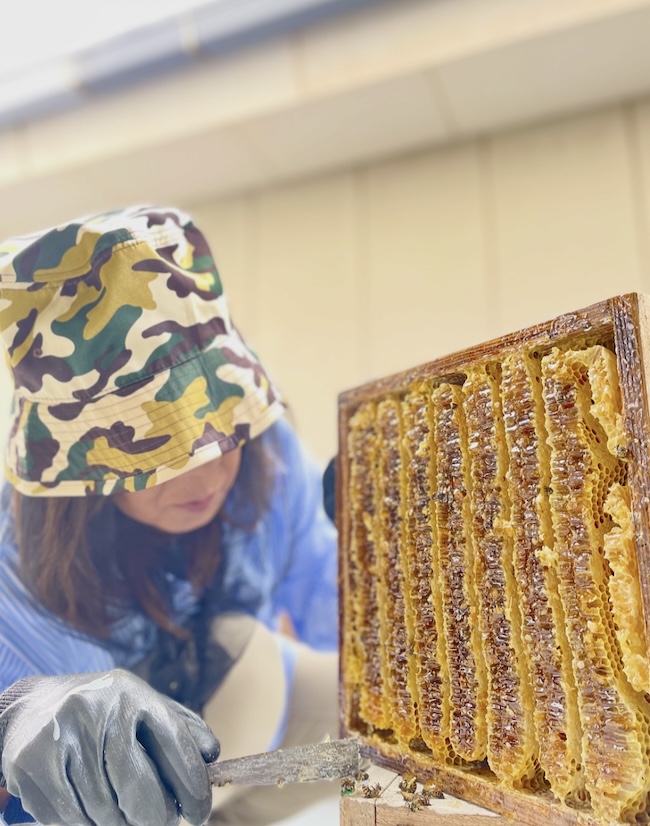 まちなか採蜜体験ツアー・ミツバチと学ぶ自然の恵み❣️