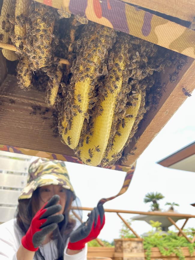 福岡雷山ゴルフのハチさん🐝