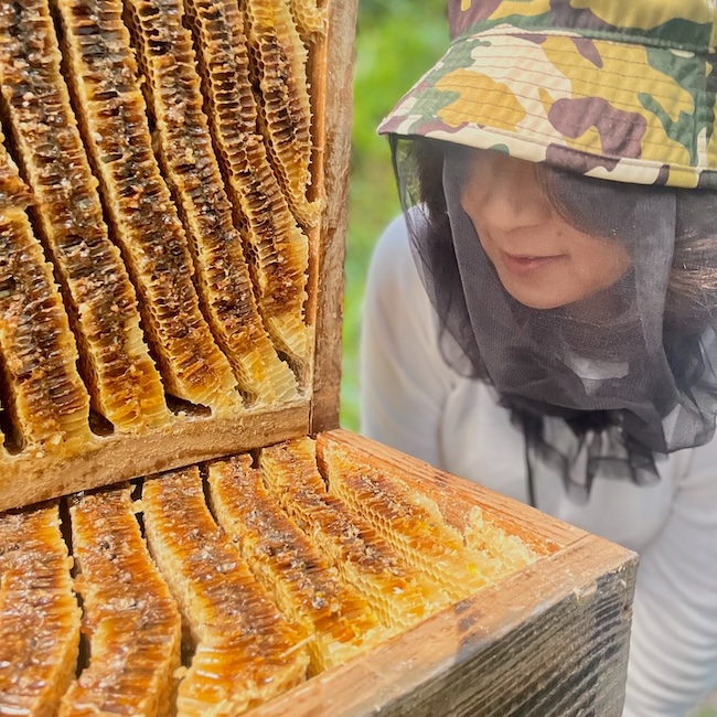 今日も採れたて❣️博多ハニー🐝✨