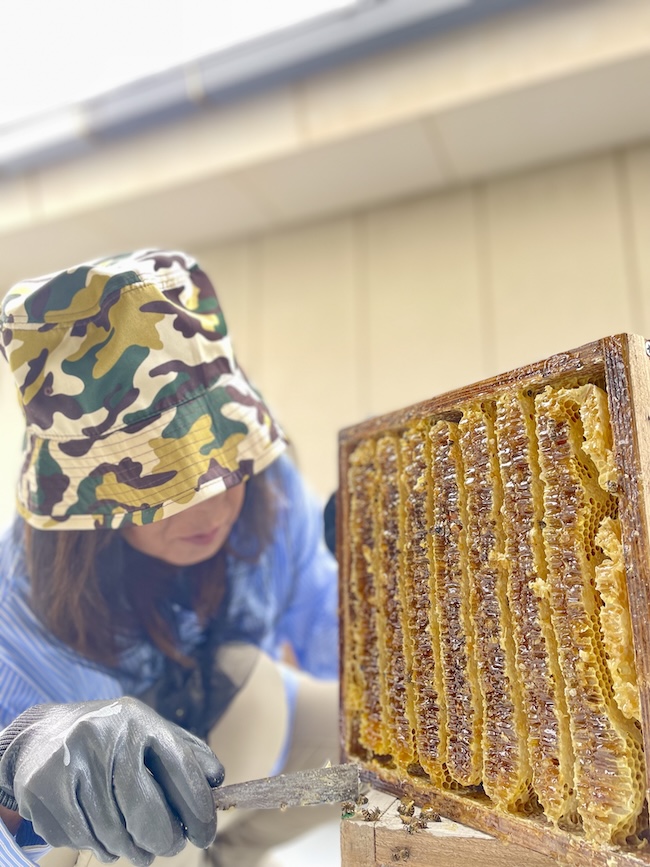 まちなか採蜜体験ツアー・ミツバチと学ぶ自然の恵み❣️