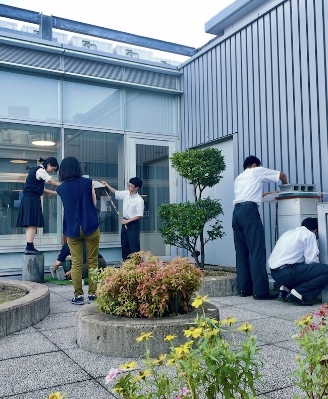 芋掘り 芋掘り！！🐝