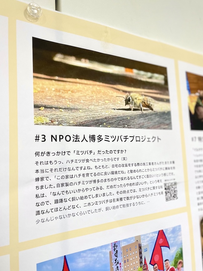 あすみんミュージアム展示中🐝