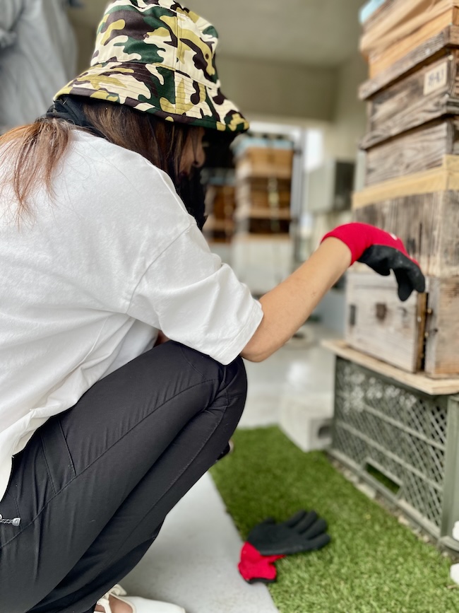 芥屋のハチさん❣️