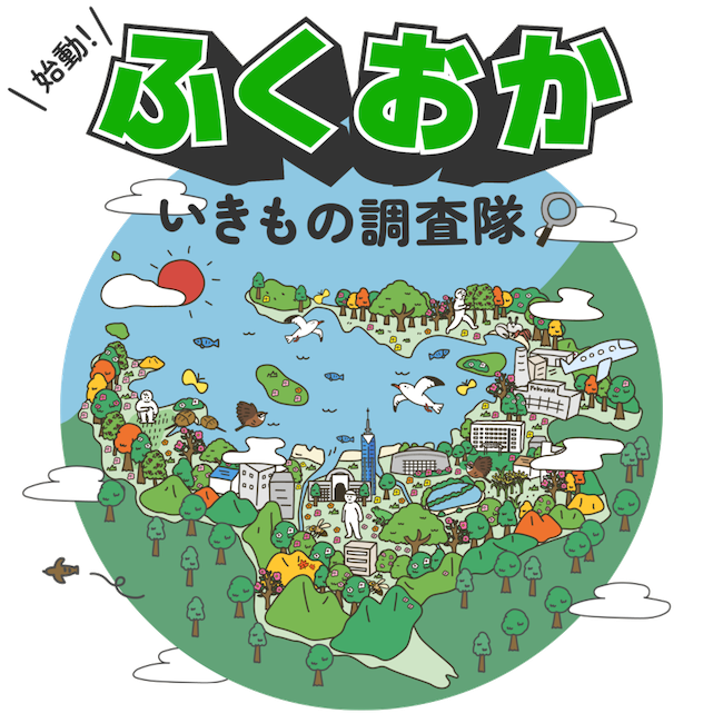 「ふくおかいきもの調査隊」❣️