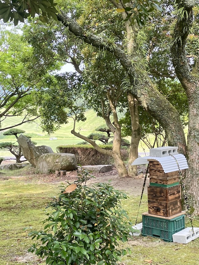 筑紫ヶ丘ゴルフクラブ 🍃