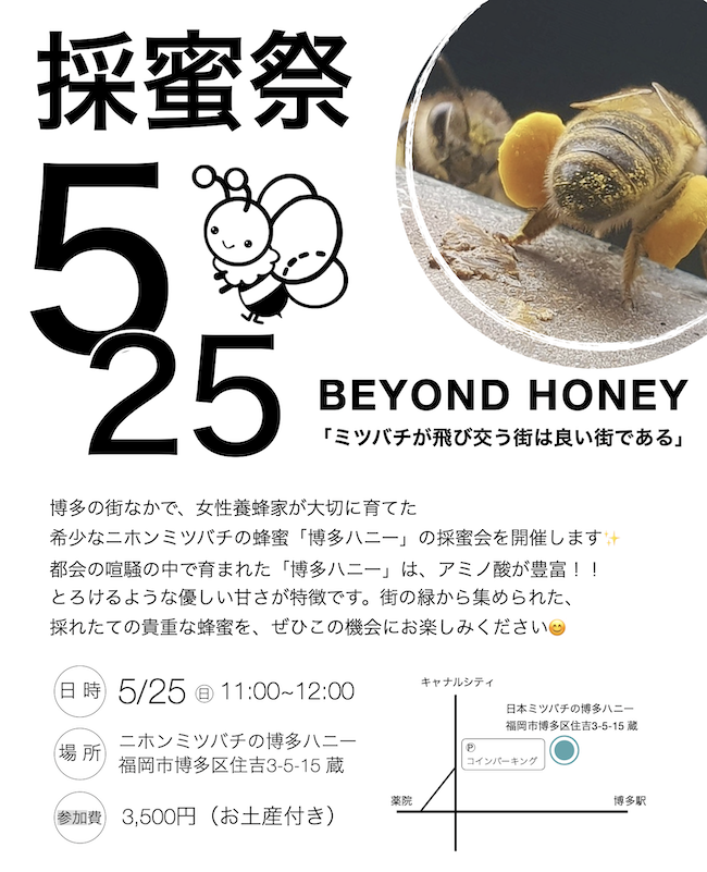 博多ハニー　採蜜会のお知らせです😊