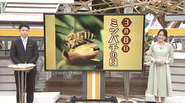 3月8日は「みつばちの日」❣️