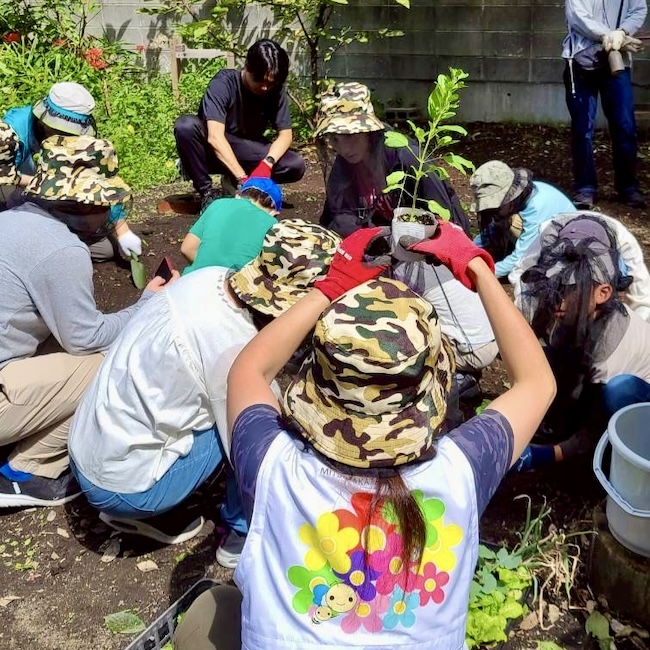 ミツバチファームをつくってみよう❣️